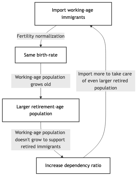 "The second graph, titled Demographic Ponzi, is a flowchart showing a cycle of immigration and aging. It starts with a box for Import working-age immigrants, which leads to a box for Same birth-rate due to fertility normalization. This leads to a box for Larger retirement-age population as the workers grow old. Because the population does not grow naturally to support these retirees, the next box shows an Increase dependency ratio. A final arrow points back to the start, labeled Import more to take care of even larger retired population, indicating a self-perpetuating cycle."